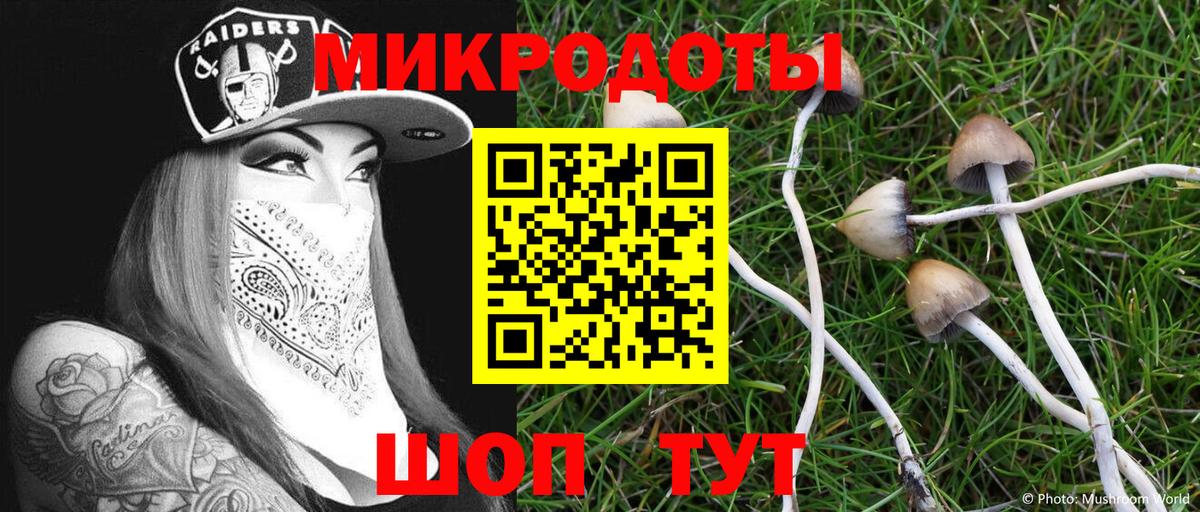 Галлюциногенные грибы Cubensis  Псилоцибиновые грибы Magic Shrooms  Вход с VPN  Дзержинск 