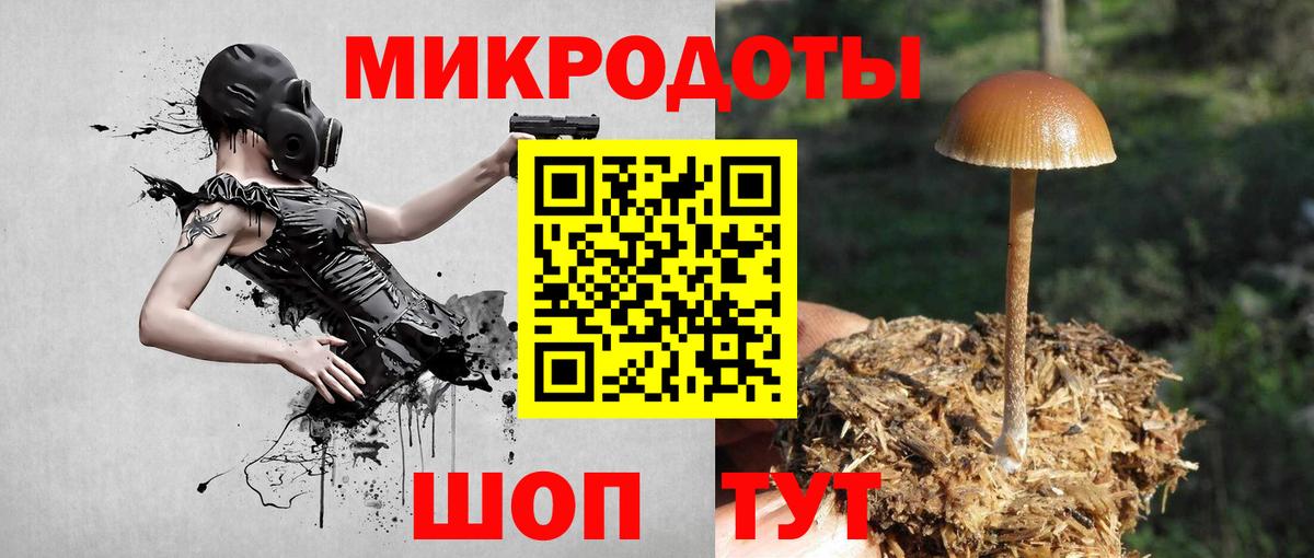 Псилоцибиновые грибы GOLDEN TEACHER Дзержинск